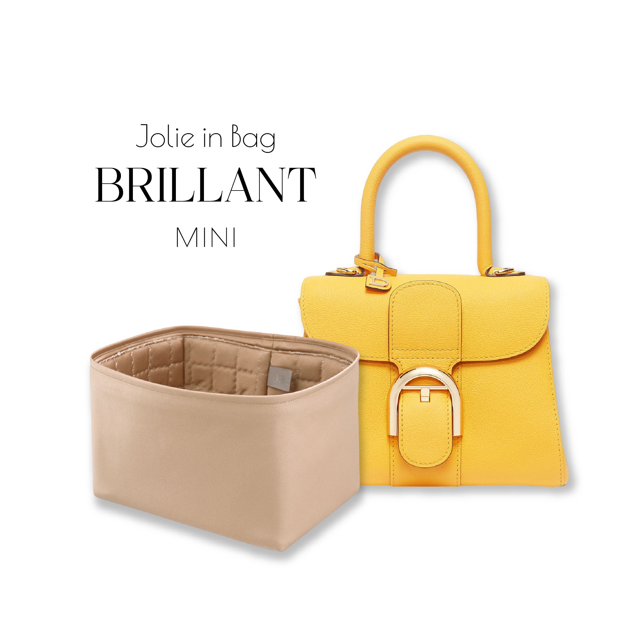 Jolie in Bag Inner Bag | Exclusive for Delvaux Brillant Mini
