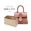 Jolie in Bag Inner Bag | Exclusive to Delvaux Brillant PM