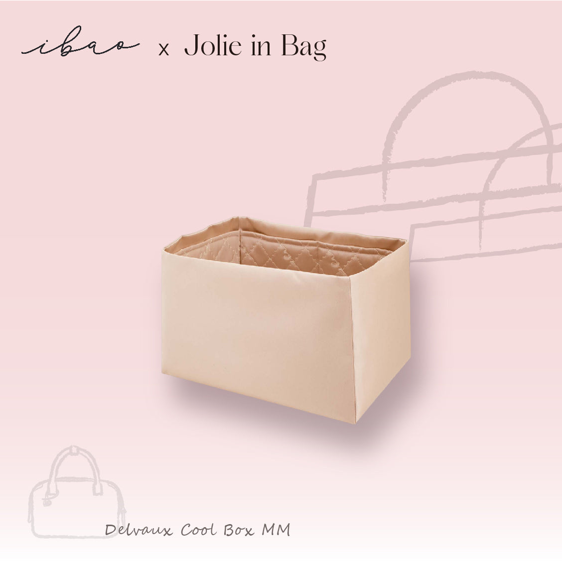 Jolie in Bag Inner Bag | Delvaux Cool Box MM Exclusive