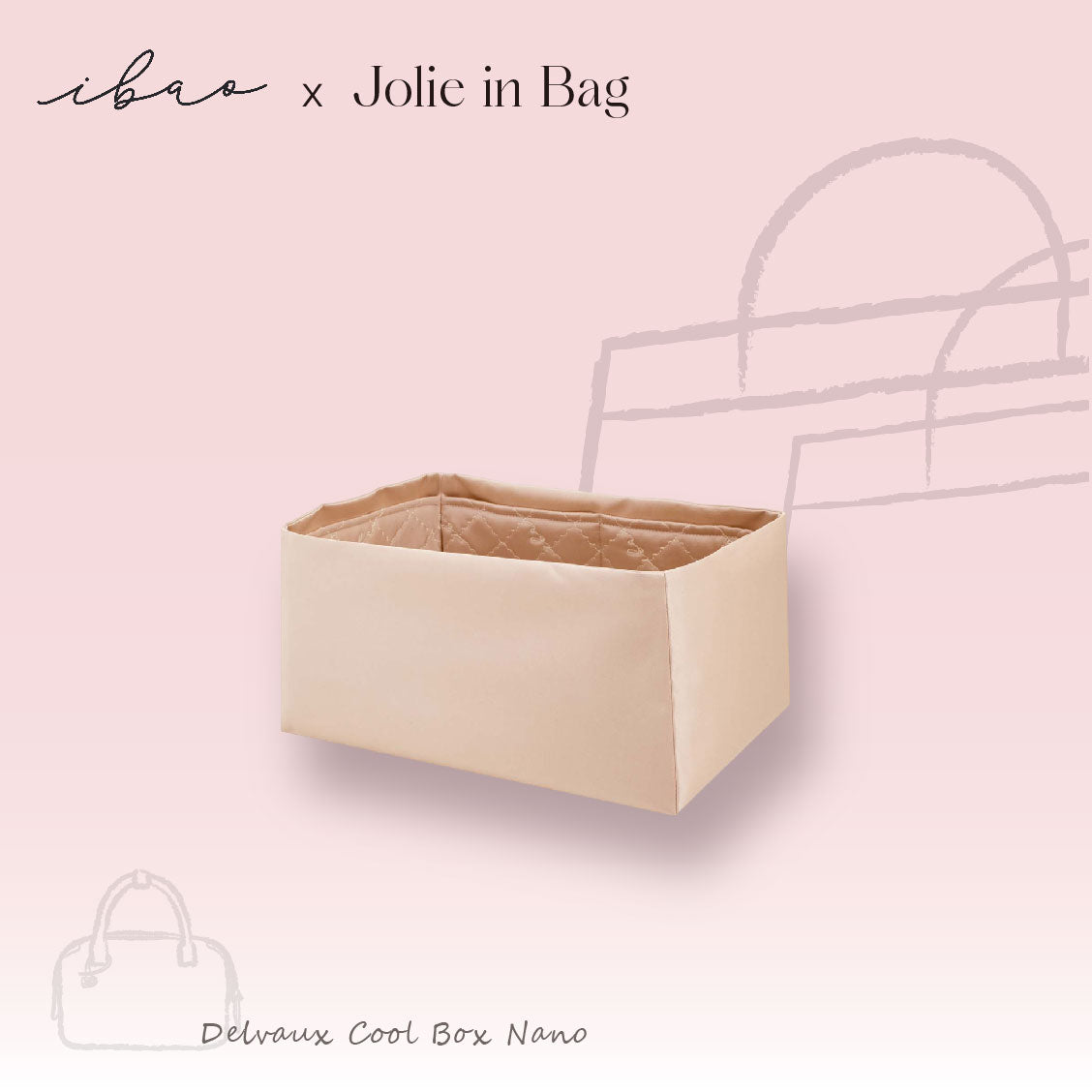 Jolie in Bag Inner Bag | Delvaux Cool Box Nano Exclusive