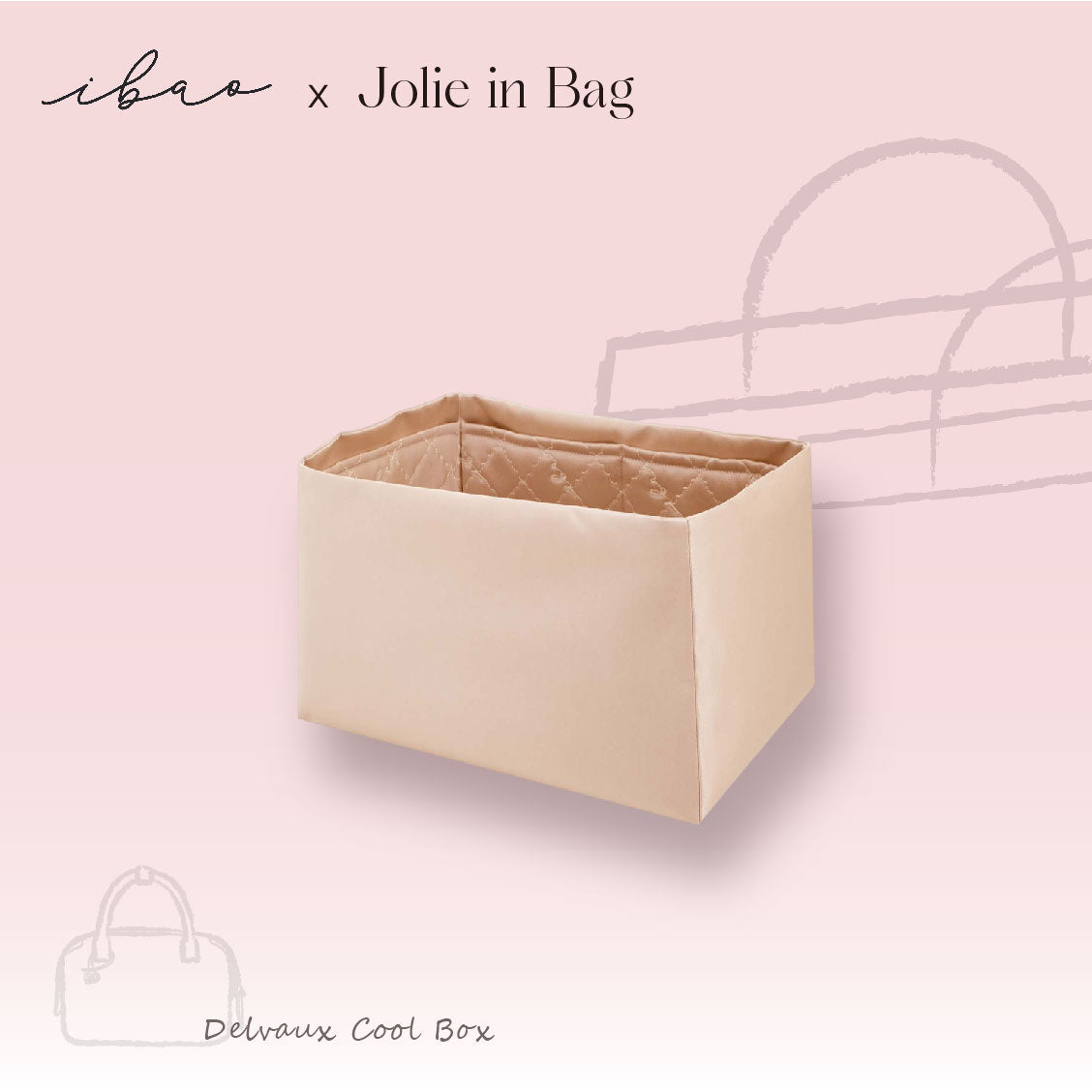Jolie in Bag Inner Bag | Delvaux Cool Box Mini Exclusive
