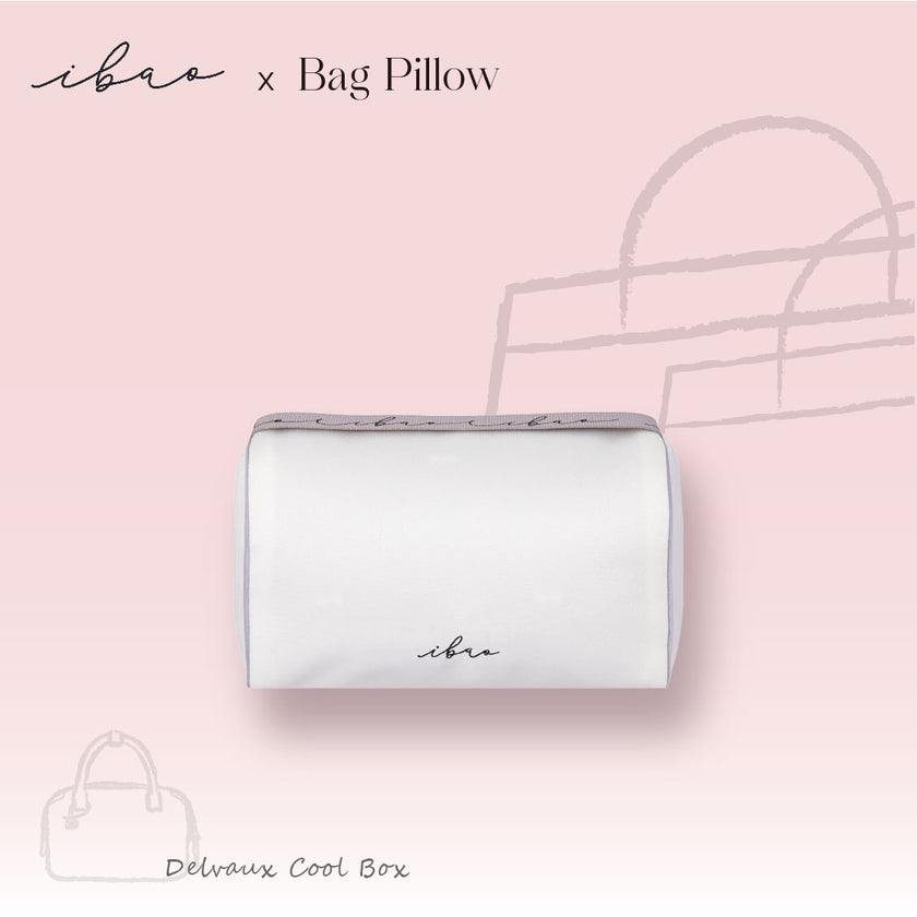 ibao Bag Pillow | Delvaux Cool Box Mini Exclusive